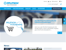 Tablet Screenshot of pflitsch.de